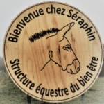 Chez Seraphin : structure équestre du bien-être