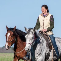 Sarl Stud Natural Du Plessis