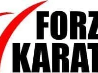 Forza Karate Club
