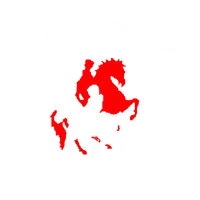Centre Equestre Les Allees Cavalieres