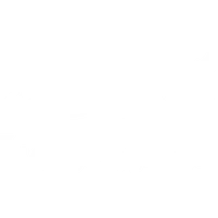 Tuidale Stables - Uretiti Beach horse treks