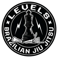 Levels Brazilian Jiu Jitsu