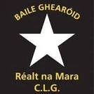 Ballygarrett Gaa Club