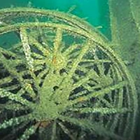 Plymouth Boat Charters