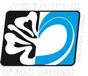 Surf School Gold Coast Stage Et Course Surf St Jean De Luz