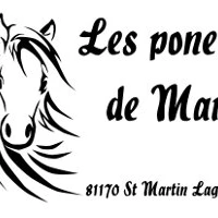 Les Poneys De Marie