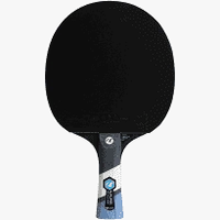 Bourgneuf Saint-Rogatien Tennis de Table