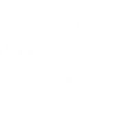 V.N.V.B