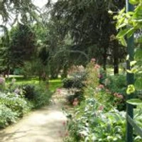 Cours de Qi Gong et de Taï Chi Quan en plein air
