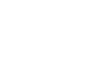 Seal Swimming Beaches