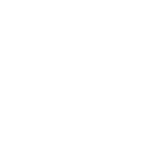 Pivot Basketball
