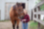 Sandhills Stable
