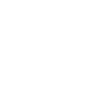 Agreement Gymnastics Grand Avignon