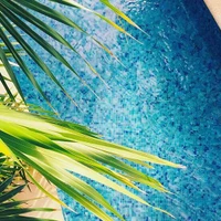 Aménéo Piscines Bois