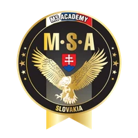 MS Academy