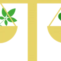Equilibrium Acupuncture & Herbs Wellness