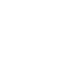 SA Performing Arts Centre