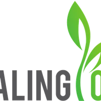 Healing Yoga