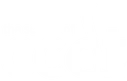 The School of Canadian Contemporary Dance Theatre