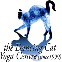 the Dancing Cat Yoga Center