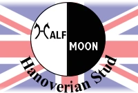 Half Moon Stud