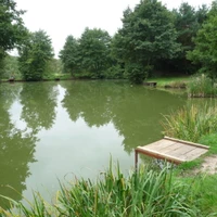 Blythe Waters