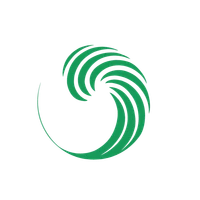 Wave Brazilian Jiu Jitsu