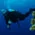 Absolute Scuba