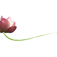 Sahaja Yoga Fontainebleau