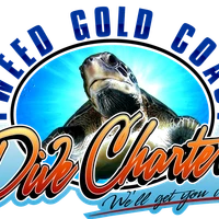 Tweed Gold Coast Dive Charters