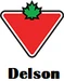 ASSOCIATION DU HOCKEY MINEUR DE DELSON