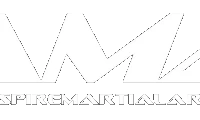 Aspire Martial Arts