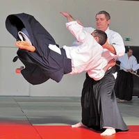 Aikido Tradition 34 Montpellier