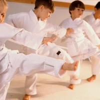 Rikai Karate and Kickboxing - Erdington