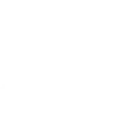 The Ponies Du Castellas