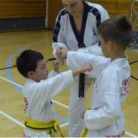 The Mark Farnham Schools of Tae Kwon Do