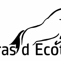 HARAS D ECOTIER