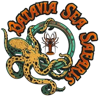 Batavia Sea Safaris