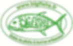 Bigfishs