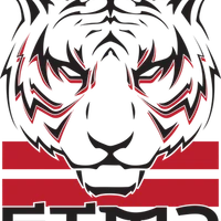 Silent Tiger Martial Arts