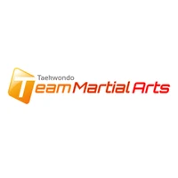 Team Martial Arts