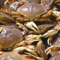 Sea Myth Fishing Charters