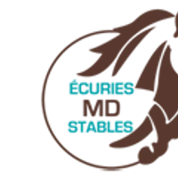 MD Stables