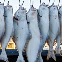 Fast Eddies Bait & Tackle