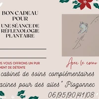 Marlène Warck _ Racines Pour Des Ailes