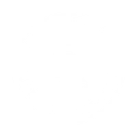 The Barbell Academy / Kempenfelt Crossfit