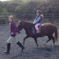Bantry Bay Pony Trekking