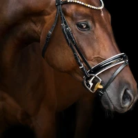 Caboolture Dressage Group