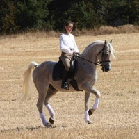 Les Cavaliers Du Reg, Promenades And Hiking On Horseback And Carriage