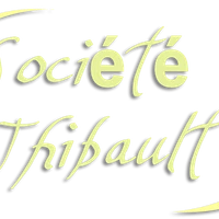 Société Thibault-Service de nettoyage de piscines